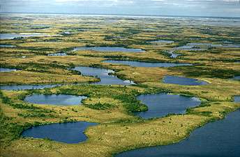 Tundra ve Rusya'nın Sibirya bölgesindeki Yamal Yarımadası'nda yaz ayları boyunca gözlemlenen göller.
