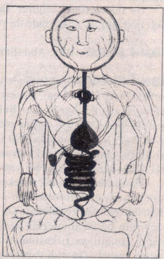 İbn-i Sina'nın yazmış olduğu El Kanun-i fit-Tıbb adlı eserinde bulunan, sindirim sistemini gösteren bir çizim