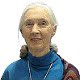 Jane Goodall 1934'te doğdu.