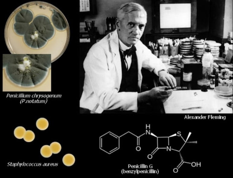 Alexander Fleming Penisilin İcadı