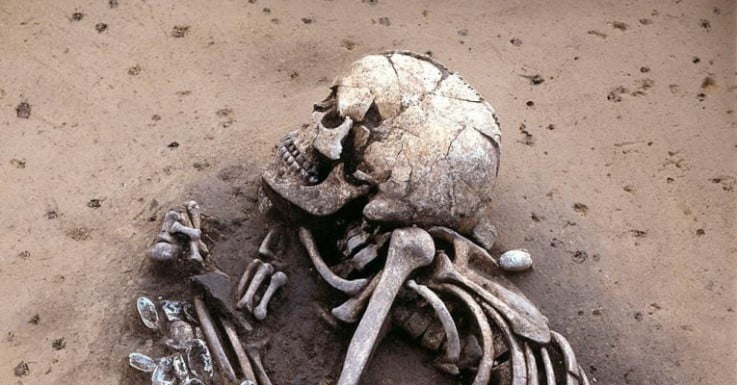 Kazılarda Bulunan Antik Avrupalı Kemikleri