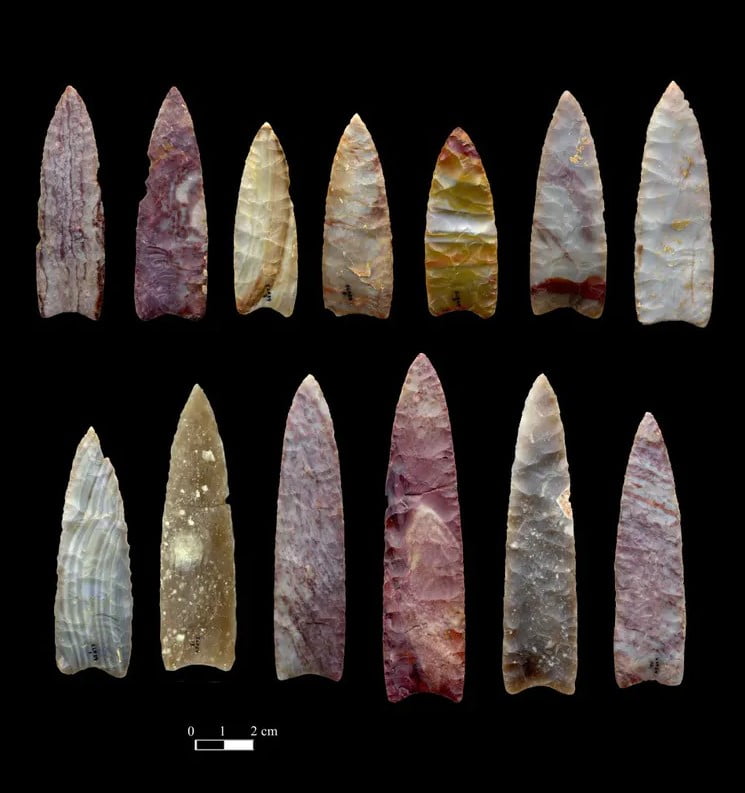 Colorado'da bulunan 13.000 yıllık mızrak uçları. 