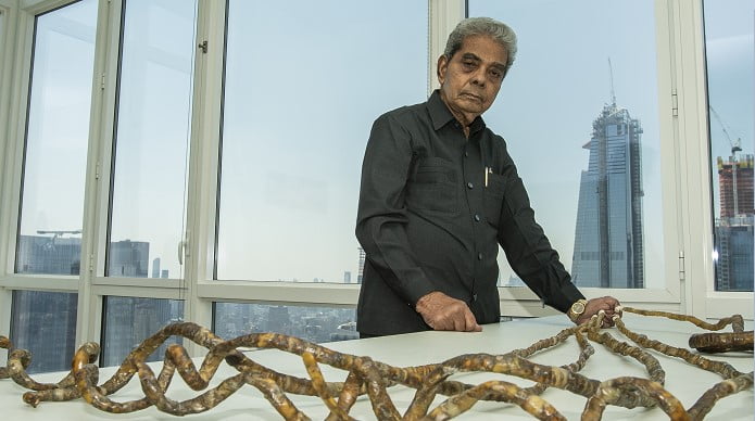 66 yıl tırnaklarını kesmemiş olan Shridhar Chillal dünyanın en uzun tırnak rekorunu elinde tutuyor.