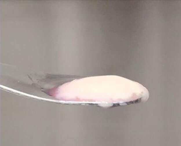 Kanada'daki McMaster Üniversitesi'ndeki araştırmacılar tarafından farelerden alınan hücreler kullanılarak yetiştirilen bir et örneği