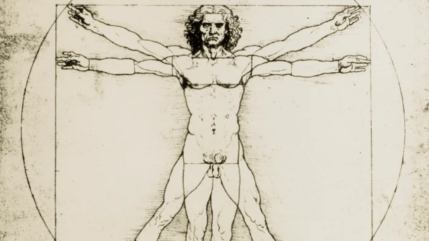 Vitruvius Man, Oranların İncelenmesi, Leonardo Da Vinci, Çizim, yaklaşık 1490.