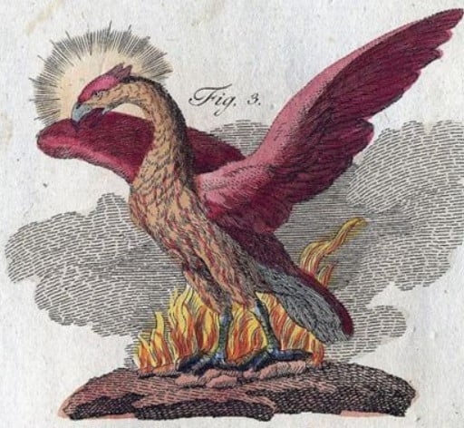 Friedrich Johann Justin Bertuch'un (1747-1822) Mitolojik Yaratıklar Kitabı'nda küllerinden yeniden doğup yükselen Anka Kuşu
