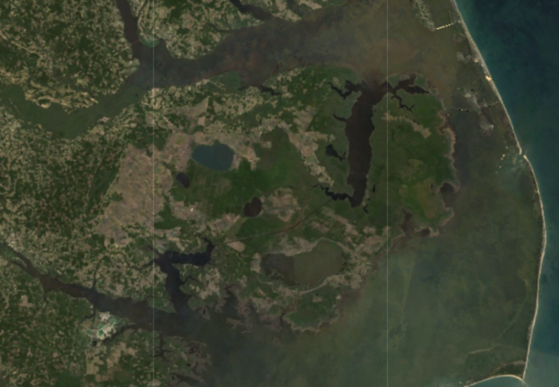 Kuzey Carolina kıyılarındaki Albemarle Pamlico Yarımadası'nın 2016 Landsat8 görüntüsü.