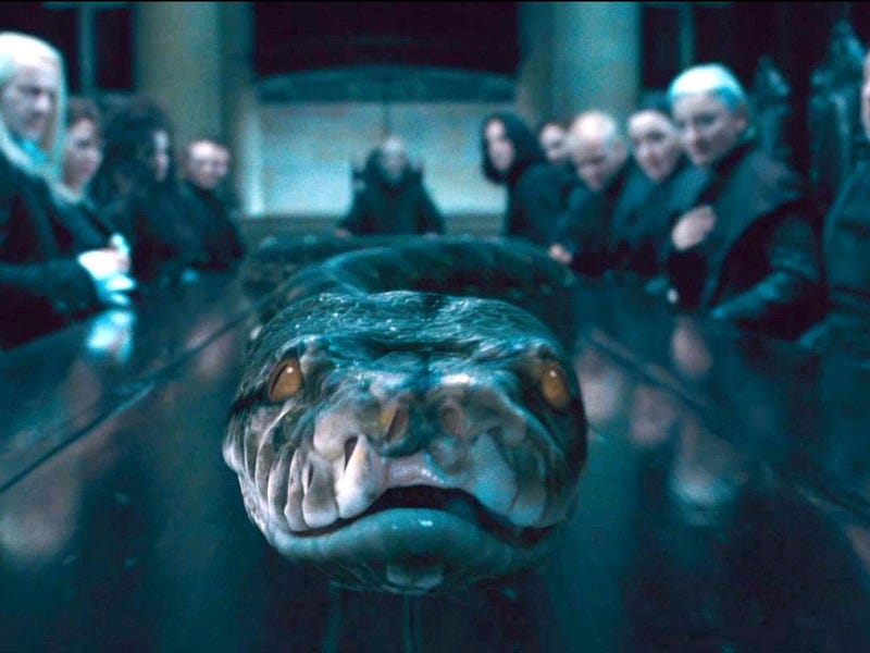 Nagini, Voldemort’un yoldaşı olan yılandır.