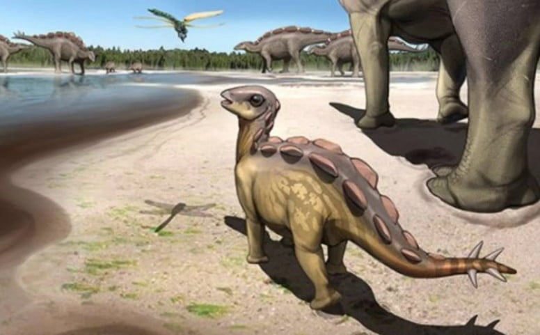 110 milyon yıl önceki stegosaur trackmakers ve paleo-ortamının bir yaşam rekonstrüksiyonu.