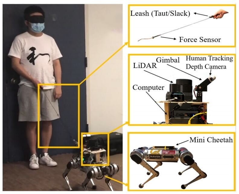 Görme engellilere yardımcı olmak için robotik rehber köpek geliştirildi. 