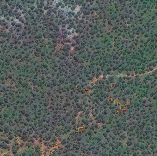 Filleri sayan algoritmayı gösteren Addo Fil Ulusal Parkı'nın havadan bir görüntüsü. 