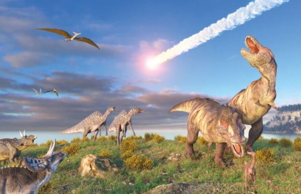Kuş olmayan tüm dinozorlar beşinci kitlesel yok oluşta yok oldu. 