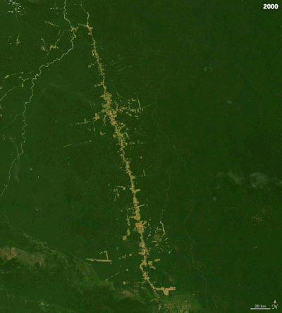 Amazon yağmur ormanları, Brezilya