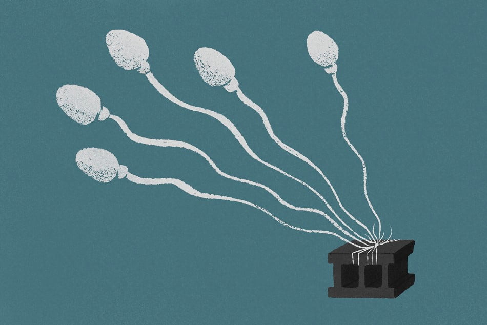 Mıknatısla Testisleri Isıtan Yeni Erkek Doğum Kontrol Yönteminin Farelerde Etkili Olduğu Görüldü