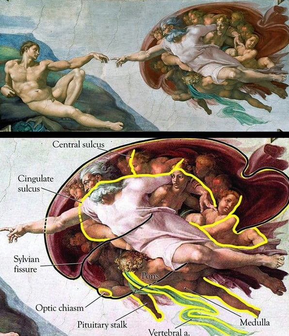 Michelangelo Buonarrotti Tarafından Çizilen Adem'in Yaratılışı (The Creation of Adam)