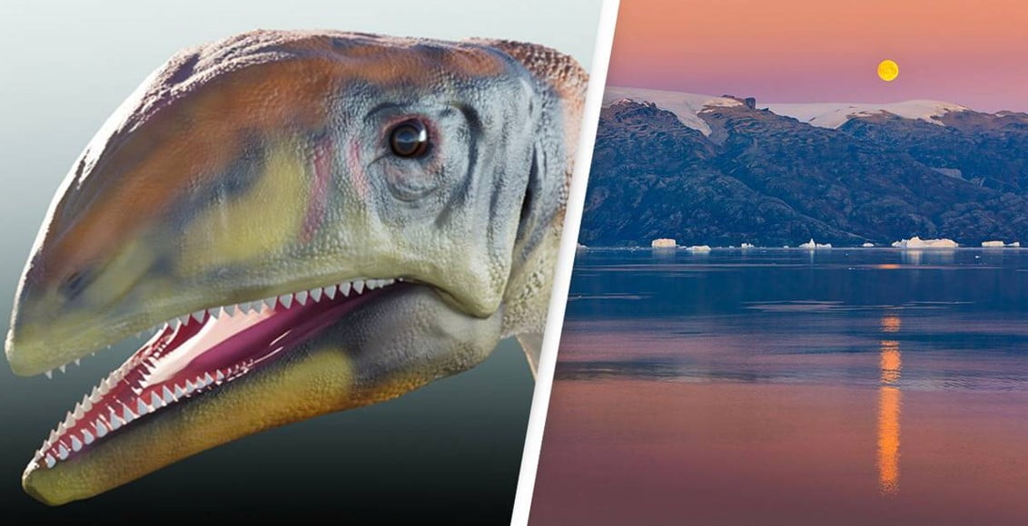 214 milyon yıl önce Grönland'da yaşamış ilk dinozor türü keşfedildi