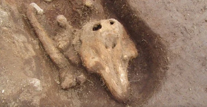 Arkeologlar Bir Orta Çağ Mezarlığında Tuhaf Bir Cenaze Buldu