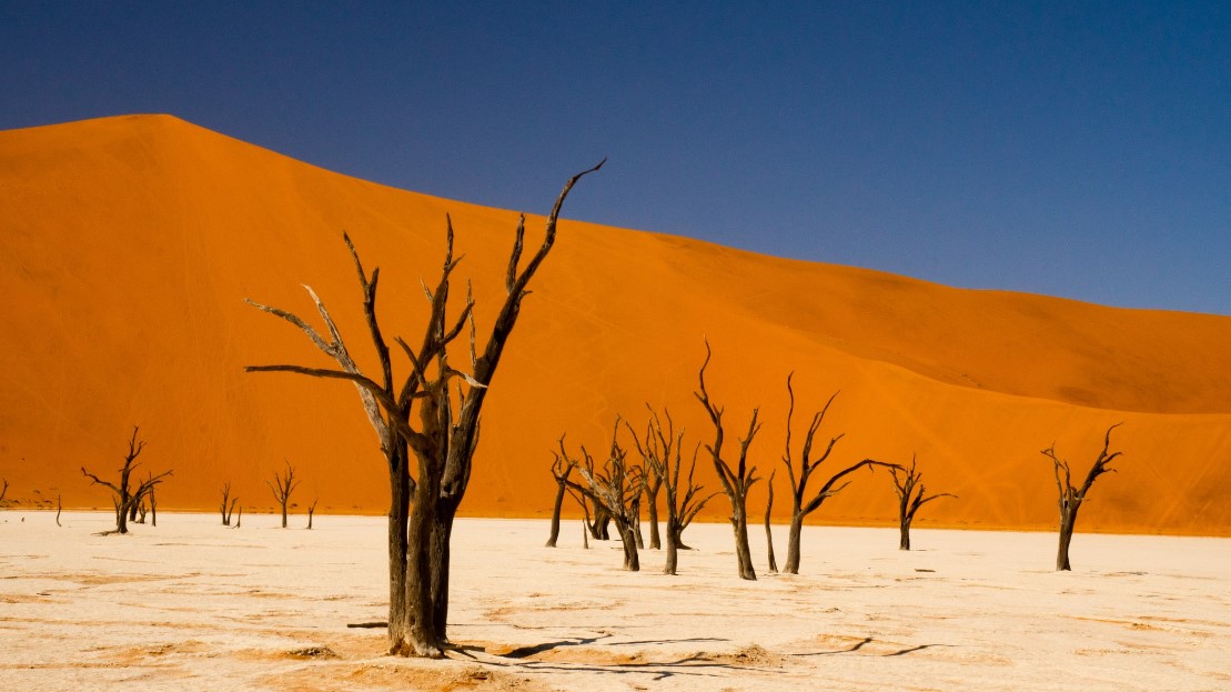 Sossusvlei Namib Çölü - Namibya