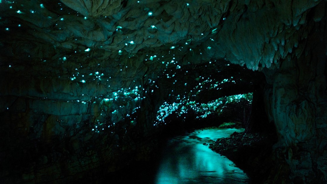 Waitomo Ateş Böceği Mağarası - Yeni Zelanda