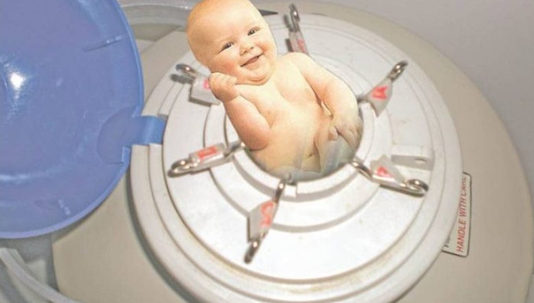 embriyo bebek
