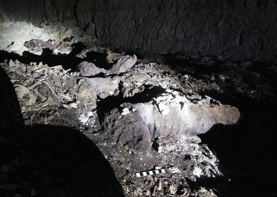 Neden 8 Milyon Köpek Mumyalanmış Şekilde Yeraltı Mezarlarındaydı
